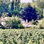 ヴィラ Fabuleux - Domaine Du Moulin D'andraut Bordeaux-chevaux-golf-st Emilion