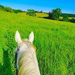Fabuleux - Domaine Du Moulin D'andraut Bordeaux-chevaux-golf-st Emilion *