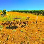 Fabuleux - Domaine Du Moulin D'andraut Bordeaux-chevaux-golf-st Emilion * Saint-Sulpice-et-Cameyrac
