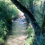 Fabuleux - Domaine Du Moulin D'andraut Bordeaux-chevaux-golf-st Emilion * Saint-Sulpice-et-Cameyrac
