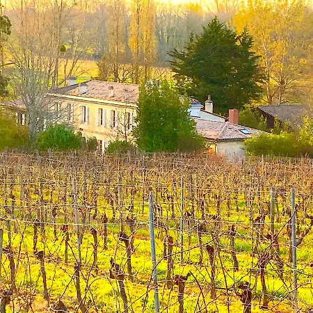 Fabuleux - Domaine Du Moulin D'andraut Bordeaux-chevaux-golf-st Emilion Villa Montussan