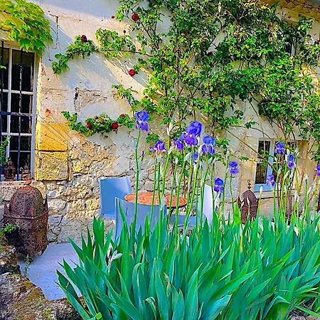Vila Fabuleux - Domaine Du Moulin D'andraut Bordeaux-chevaux-golf-st Emilion *