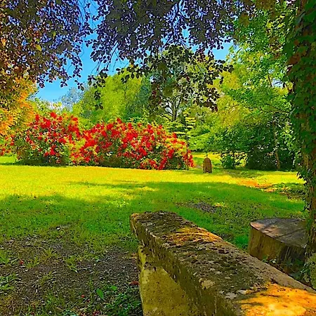 Villa Fabuleux - Domaine Du Moulin D'andraut Bordeaux-chevaux-golf-st Emilion Montussan