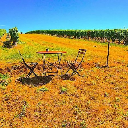 Fabuleux - Domaine Du Moulin D'andraut Bordeaux-chevaux-golf-st Emilion * Montussan