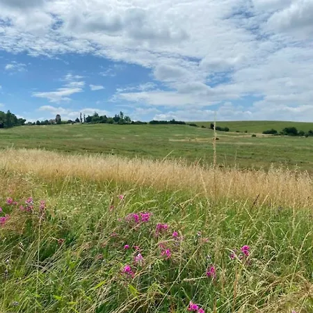 Fabuleux - Domaine Du Moulin D'andraut Bordeaux-chevaux-golf-st Emilion Villa
