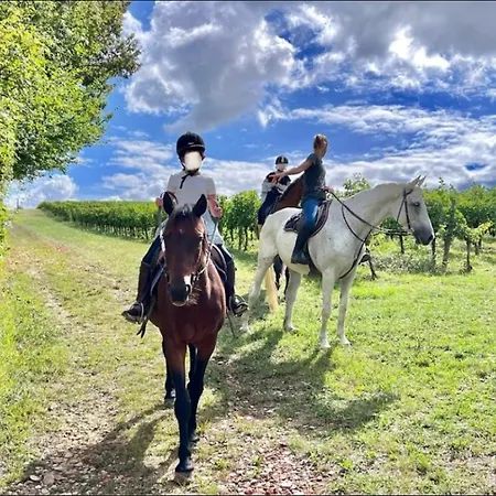 Fabuleux - Domaine Du Moulin D'andraut Bordeaux-chevaux-golf-st Emilion